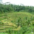 Bali_25dec2005_223